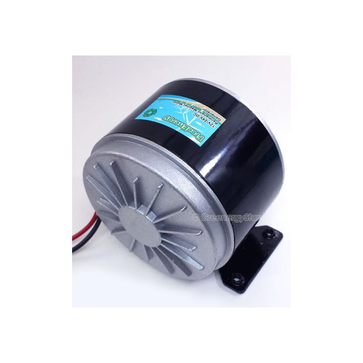 Generador DC de iman permanente 300W