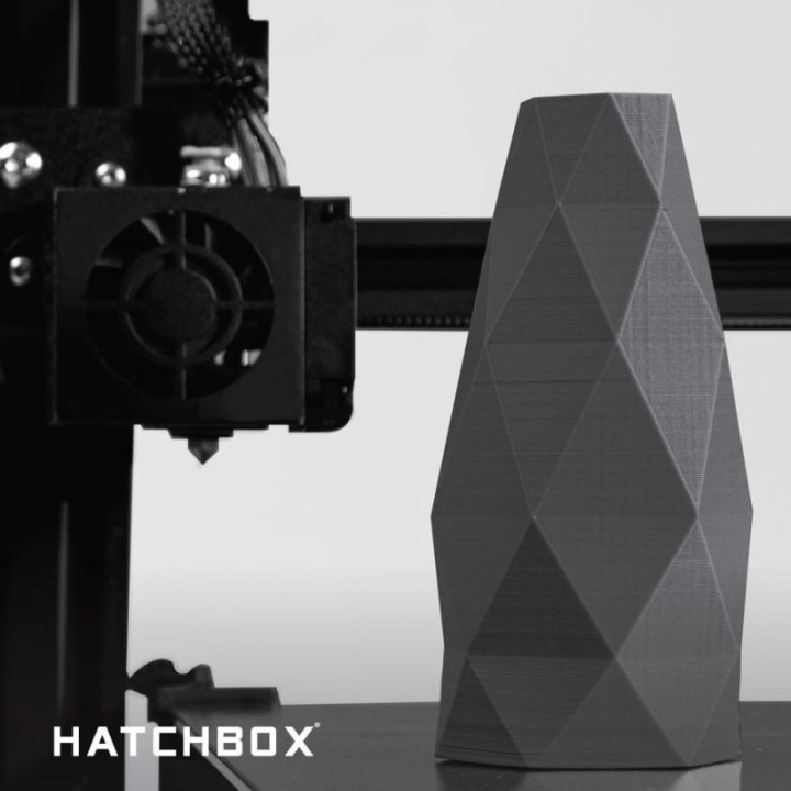 Filamento Flexible PETG Hatchbox 1.75mm 2.2 Lb