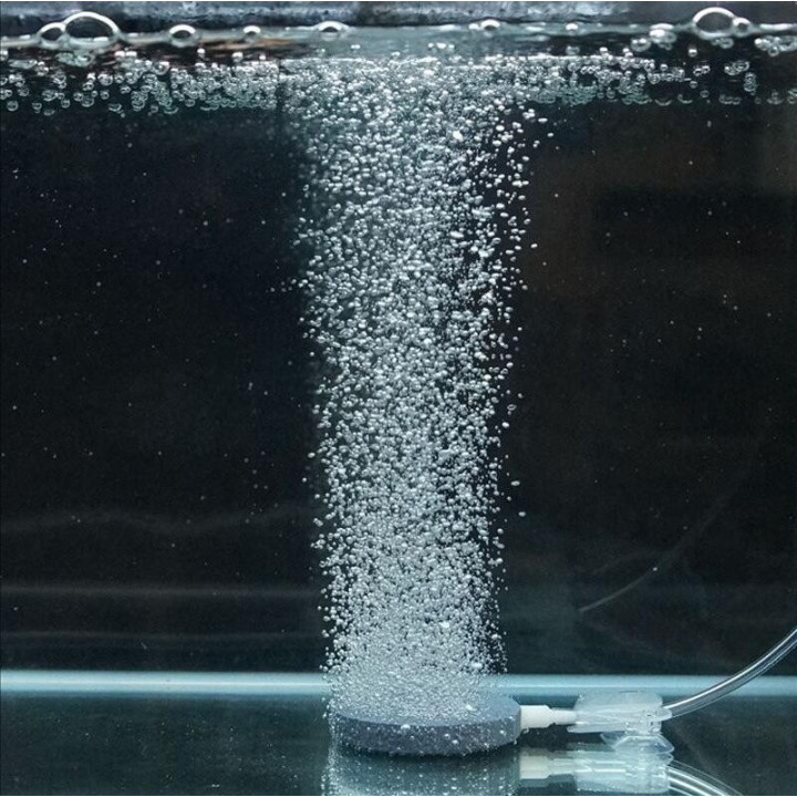 Piedra Difusora de Aire para Acuario