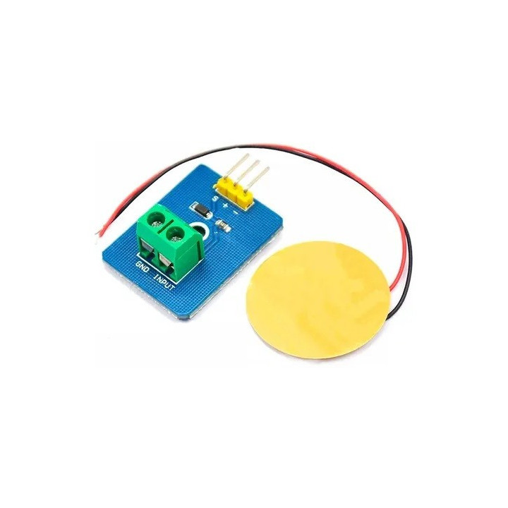 Sensor de Vibracion Piezoelectrico